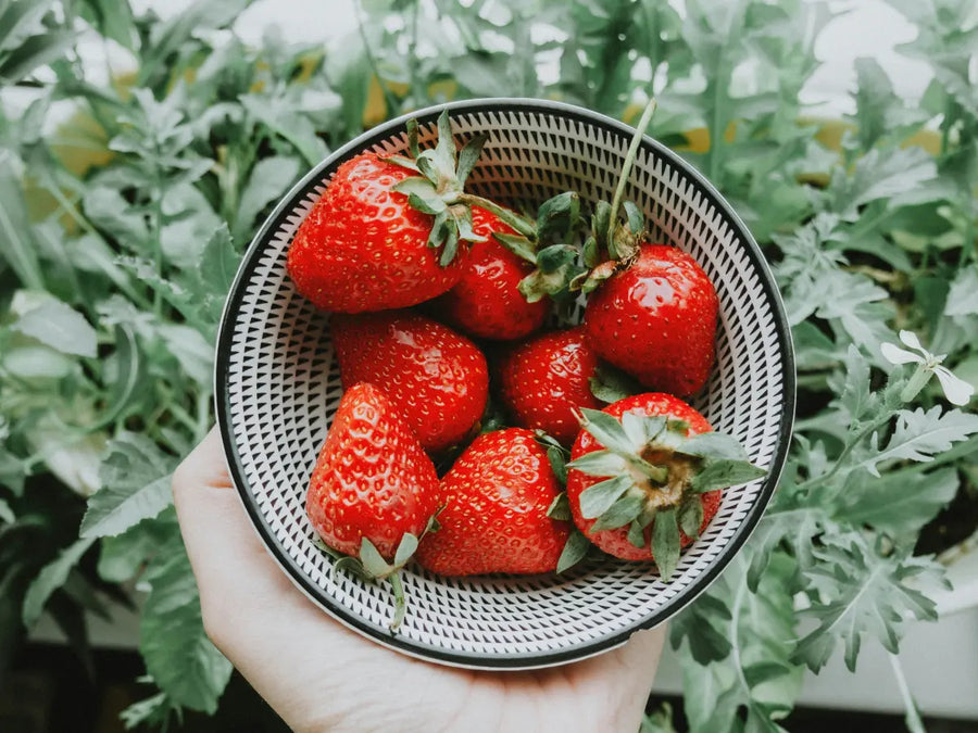 Truskawki kcal – ile kalorii mają truskawki?